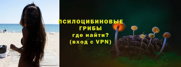 прущие крисы Горнозаводск