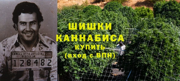 молекула духа Горно-Алтайск