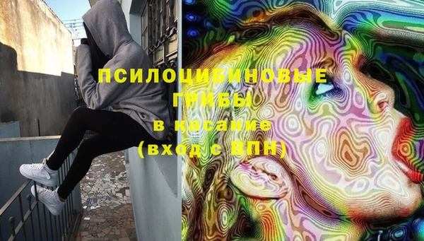 марки lsd Горняк