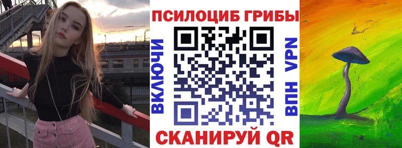 закладки Тольятти Псилоцибиновые грибы прущие грибы
